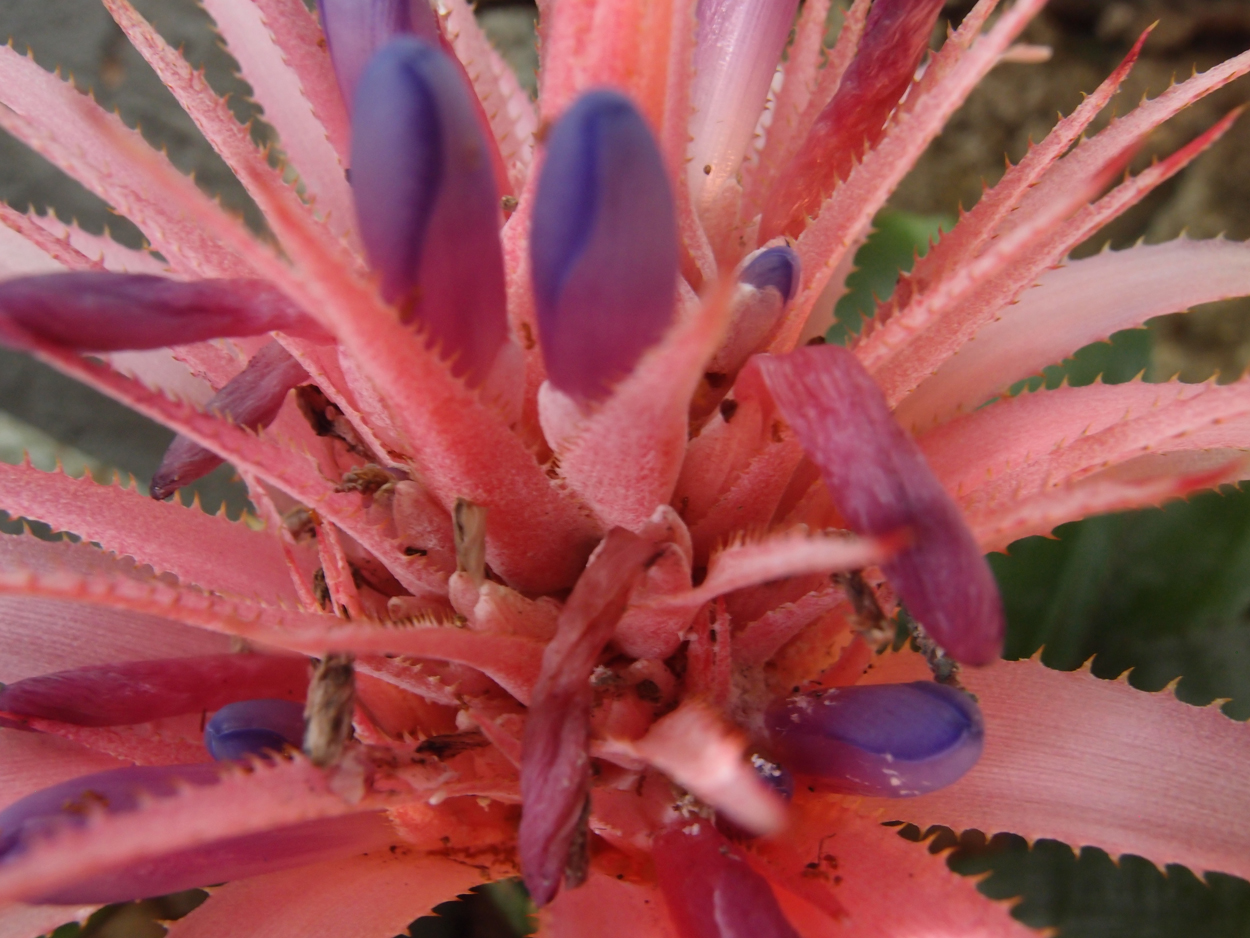 2016-02-18 Paulas Garten (Fotos)